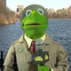 Illustration for article titled Good Morning America Thinks This Frog's Name Is ‘Tea Lizard’